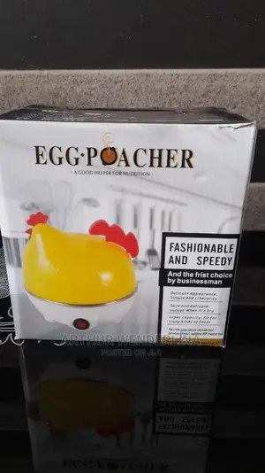 Electric Egg Cooker Used for Boiling and Frying Egg.