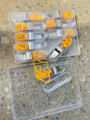 Whistle for Security at Cool Price