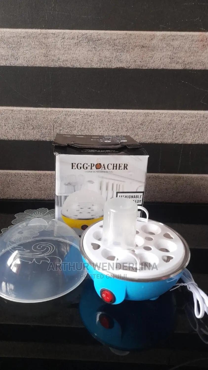 Electric Egg Cooker Used for Boiling and Frying Egg.