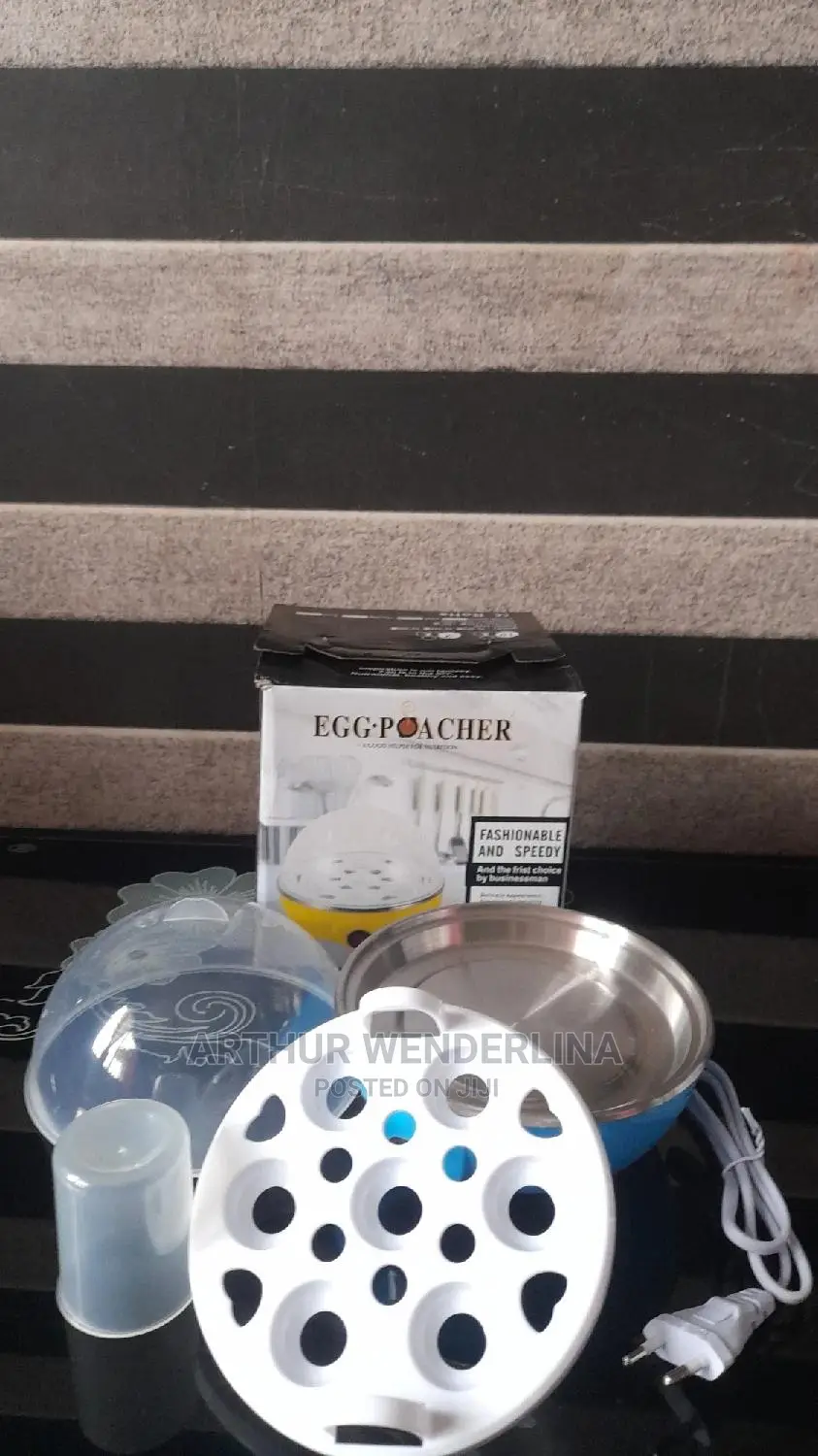 Electric Egg Cooker Used for Boiling and Frying Egg.