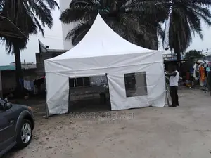 Heavy Duty Canopies for Sell