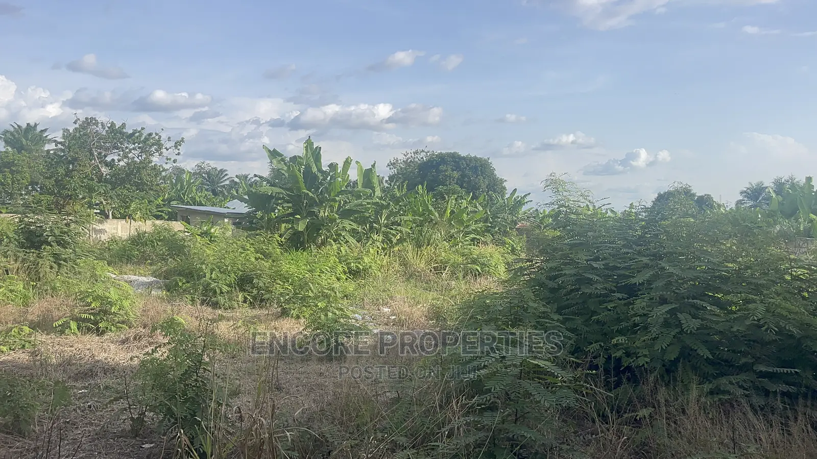 180 Feet by 315 Feet Plot of Land Now Selling