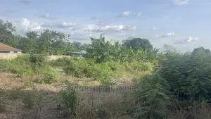 180 Feet by 315 Feet Plot of Land Now Selling