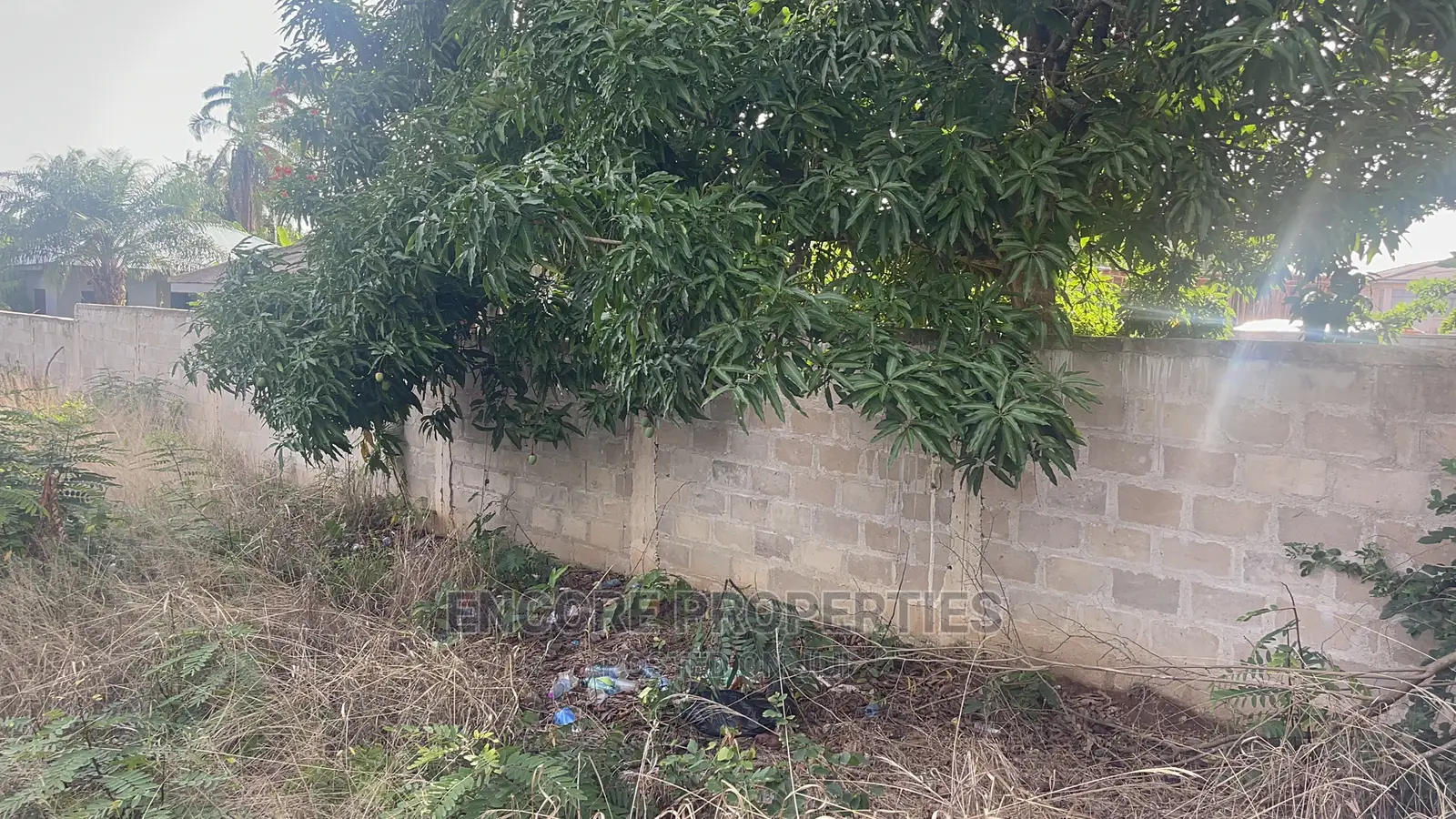 180 Feet by 315 Feet Plot of Land Now Selling