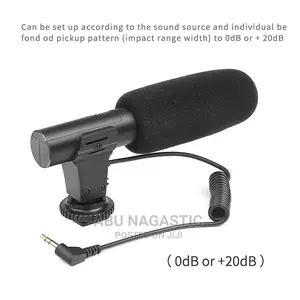 Camera and Phone Video Microphone