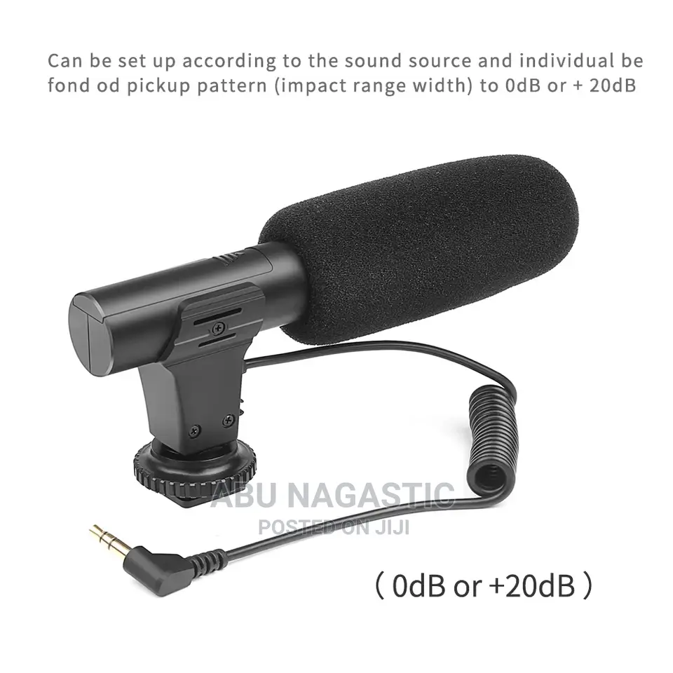 Camera and Phone Video Microphone