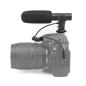 Camera and Phone Video Microphone