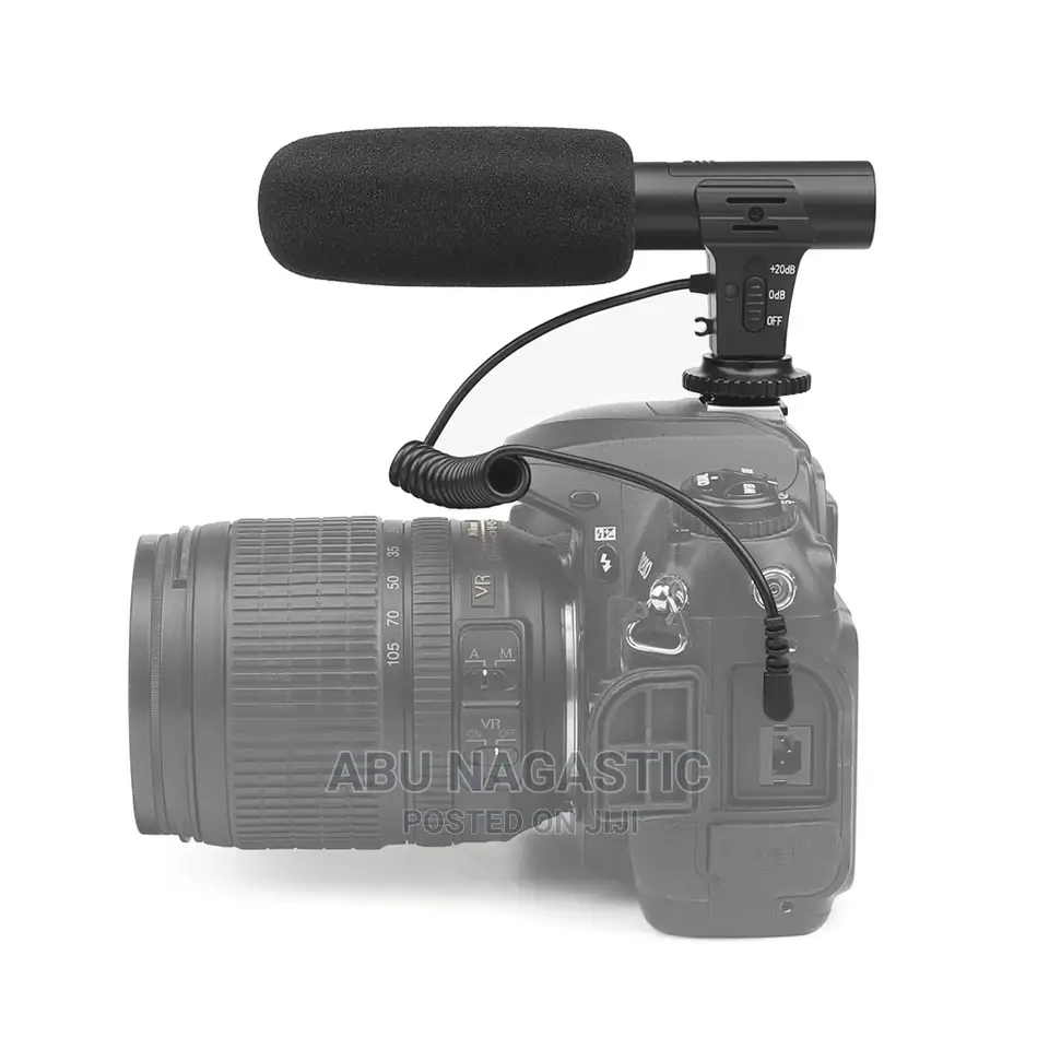 Camera and Phone Video Microphone