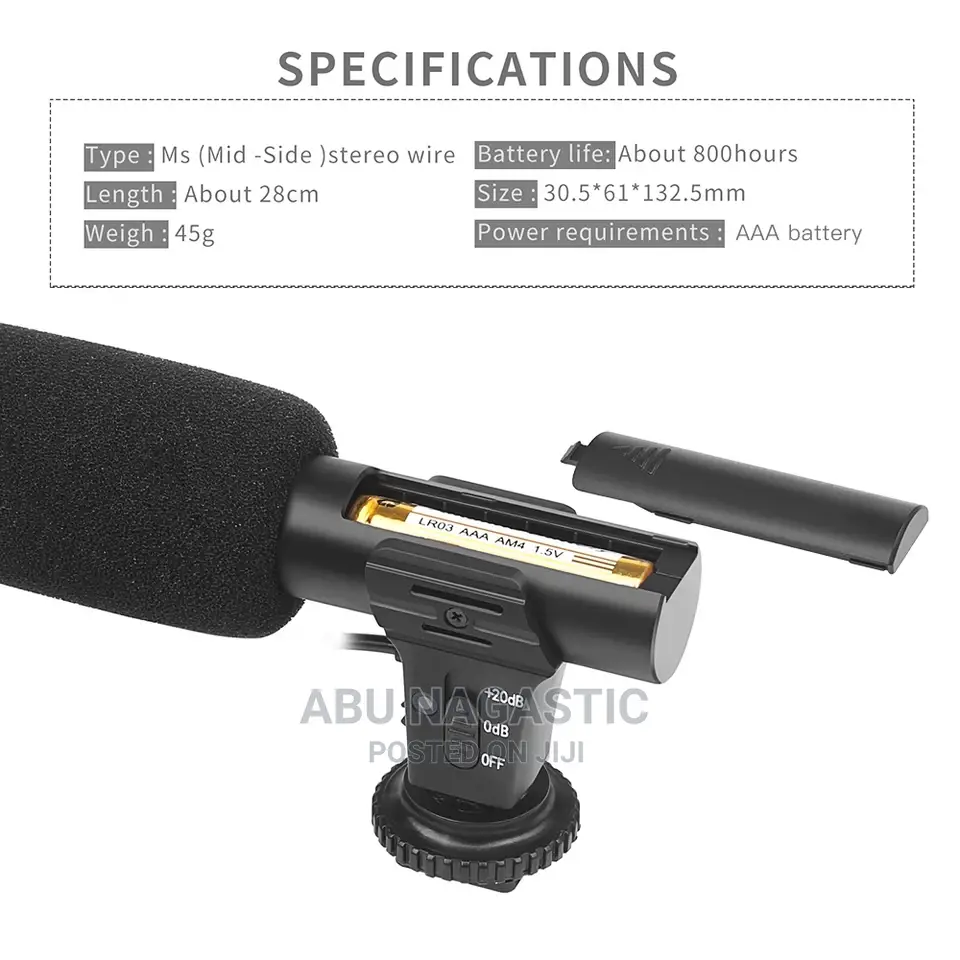 Camera and Phone Video Microphone