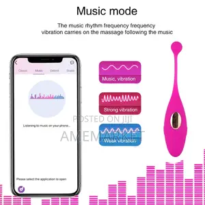 Lush 2 App Bluetooth Remote Control Wireless G-Spot Vibrator