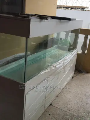 Aquarium Tank With Fishes