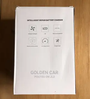 Car Battery Charger for Both 12v/24v