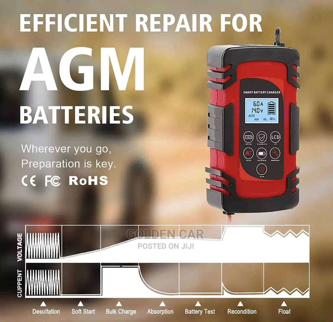 Car Battery Charger for Both 12v/24v