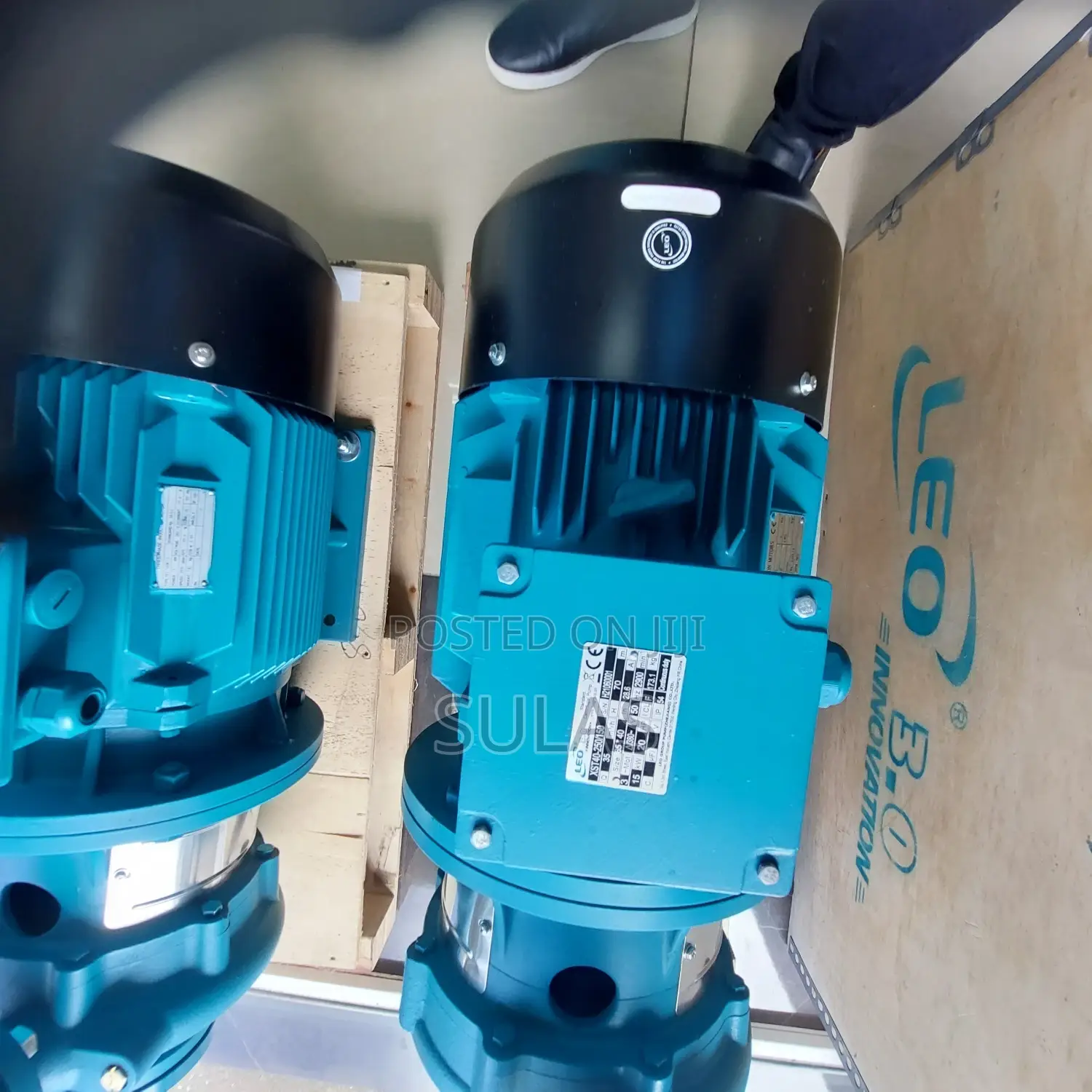 Leo Electric Pump