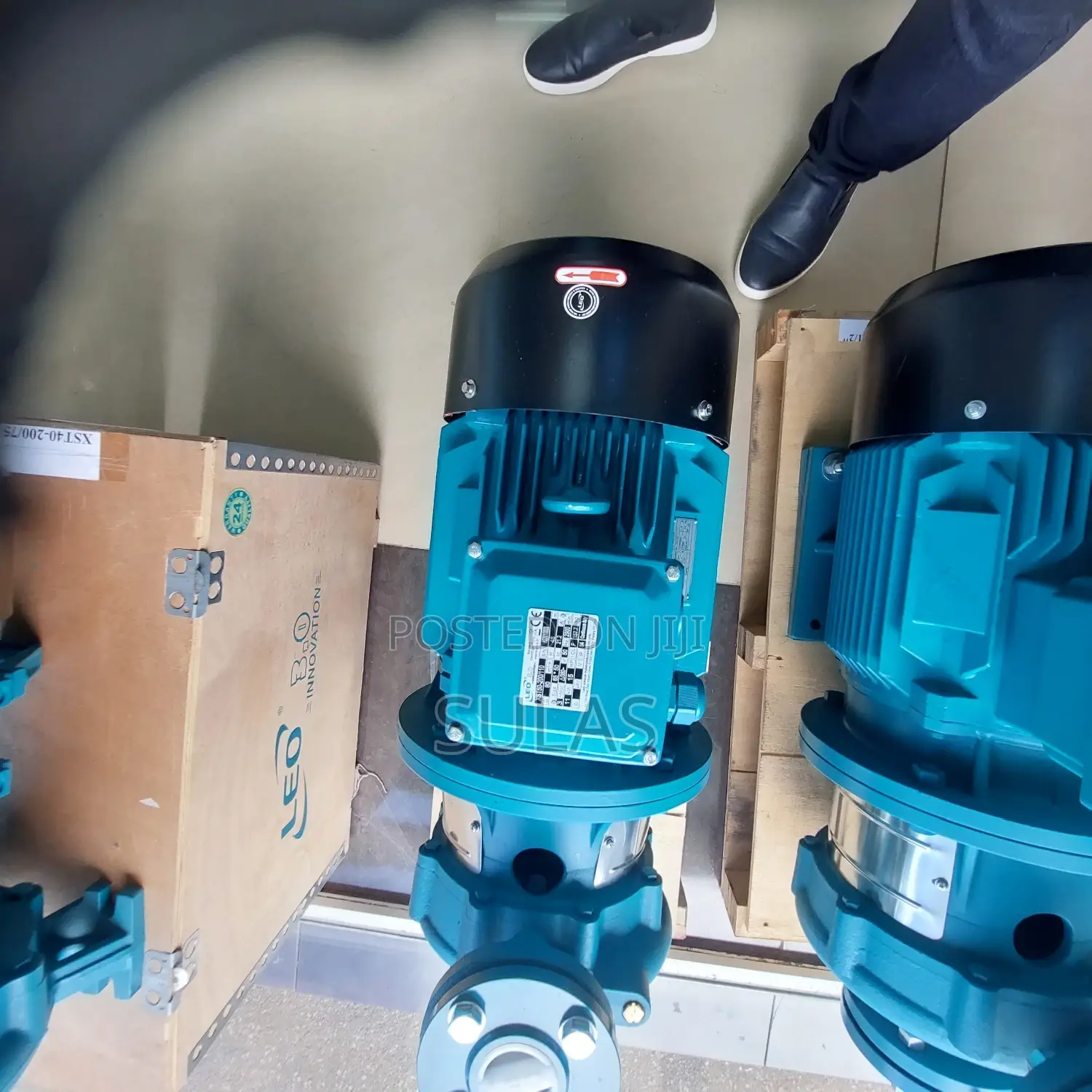 Leo Electric Pump