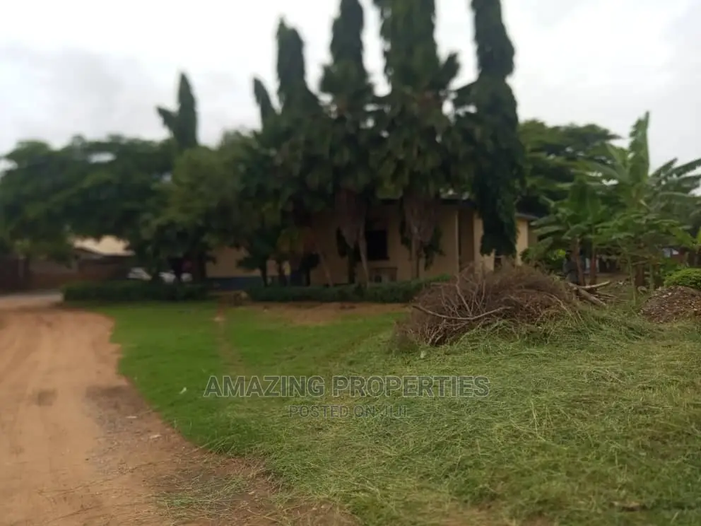 What Is Available Is Up for Dzorwulu
Size: 80ft by 120ft