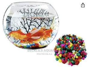Glass Bowls N Fish