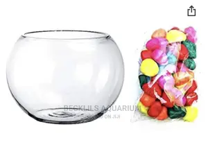 Aquarium Glass Bowl