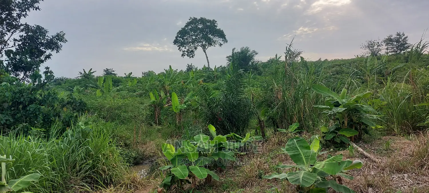 Farmlands,Commercial and Residential Lands for Sale