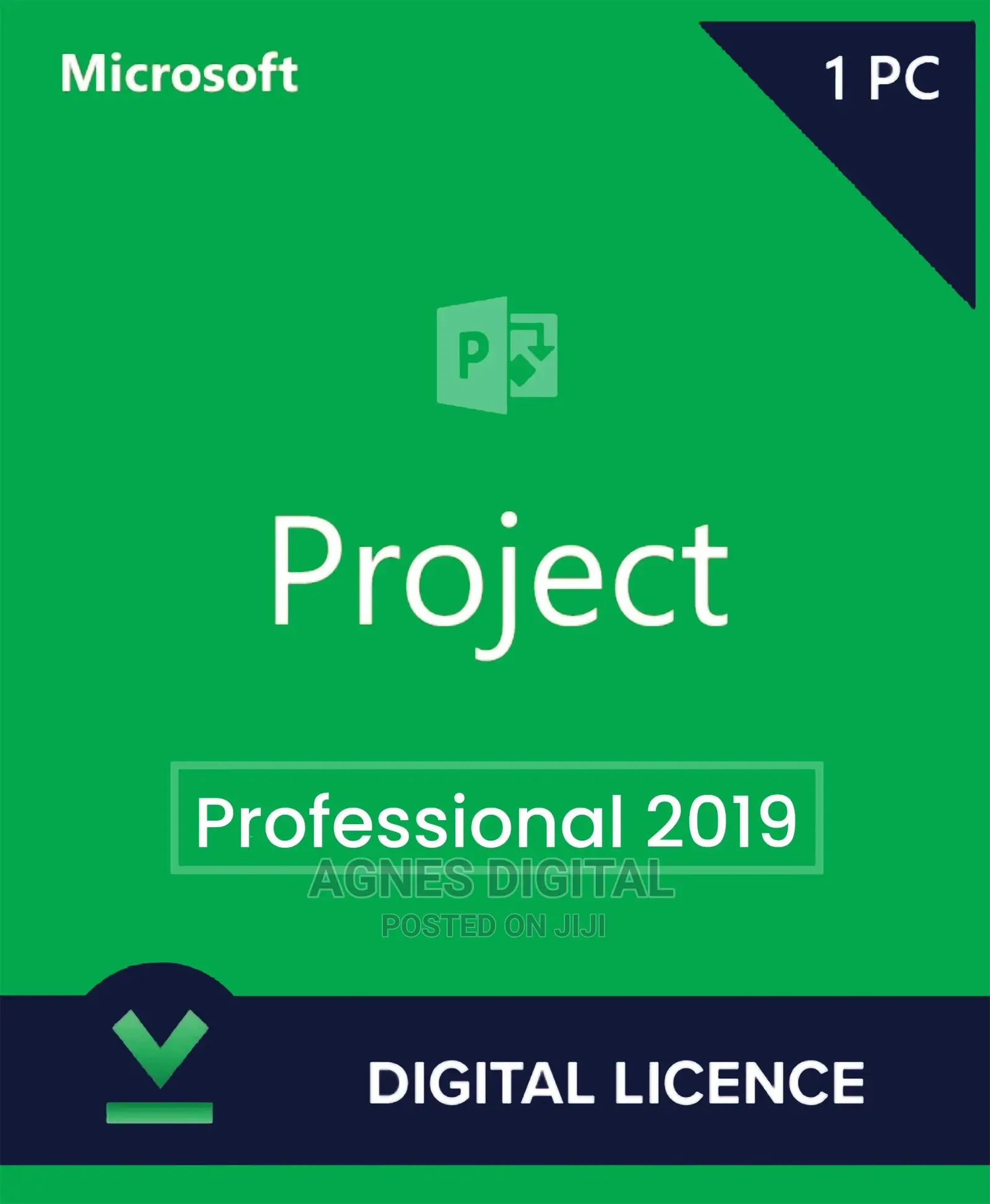 Project Professional 2019 Digital License Key ( 1PC)