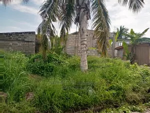 A Half Plot of Land for Sale at Tseaddo