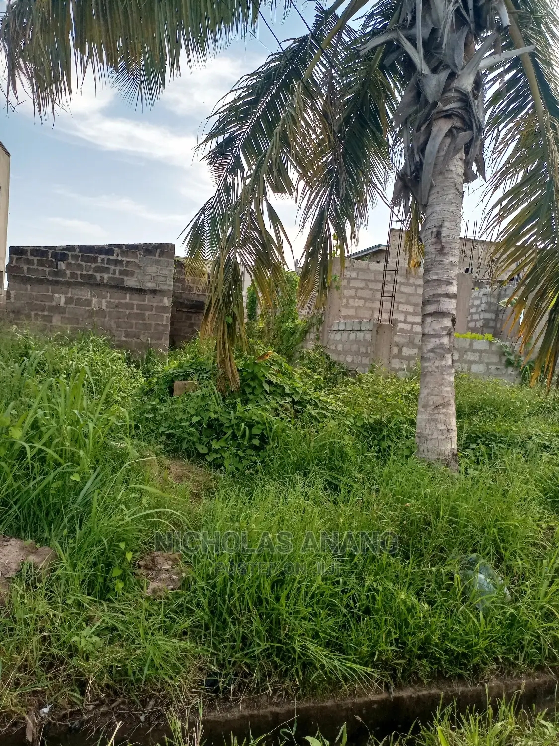 A Half Plot of Land for Sale at Tseaddo