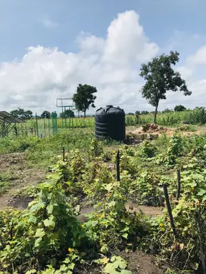 Affordable Farmlands at for Sale in Kintampo