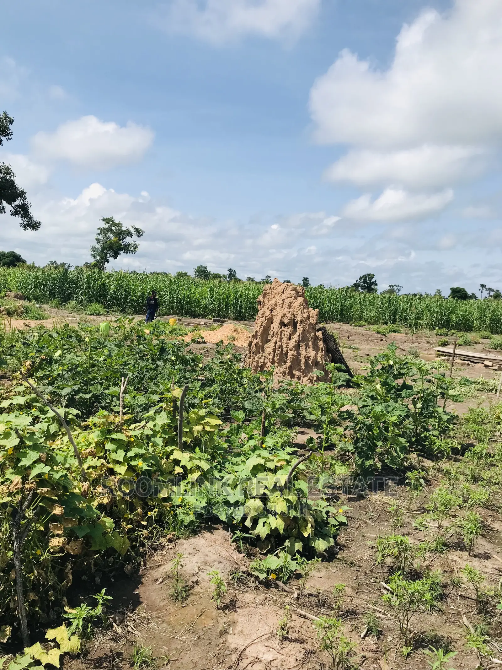 Affordable Farmlands at for Sale in Kintampo