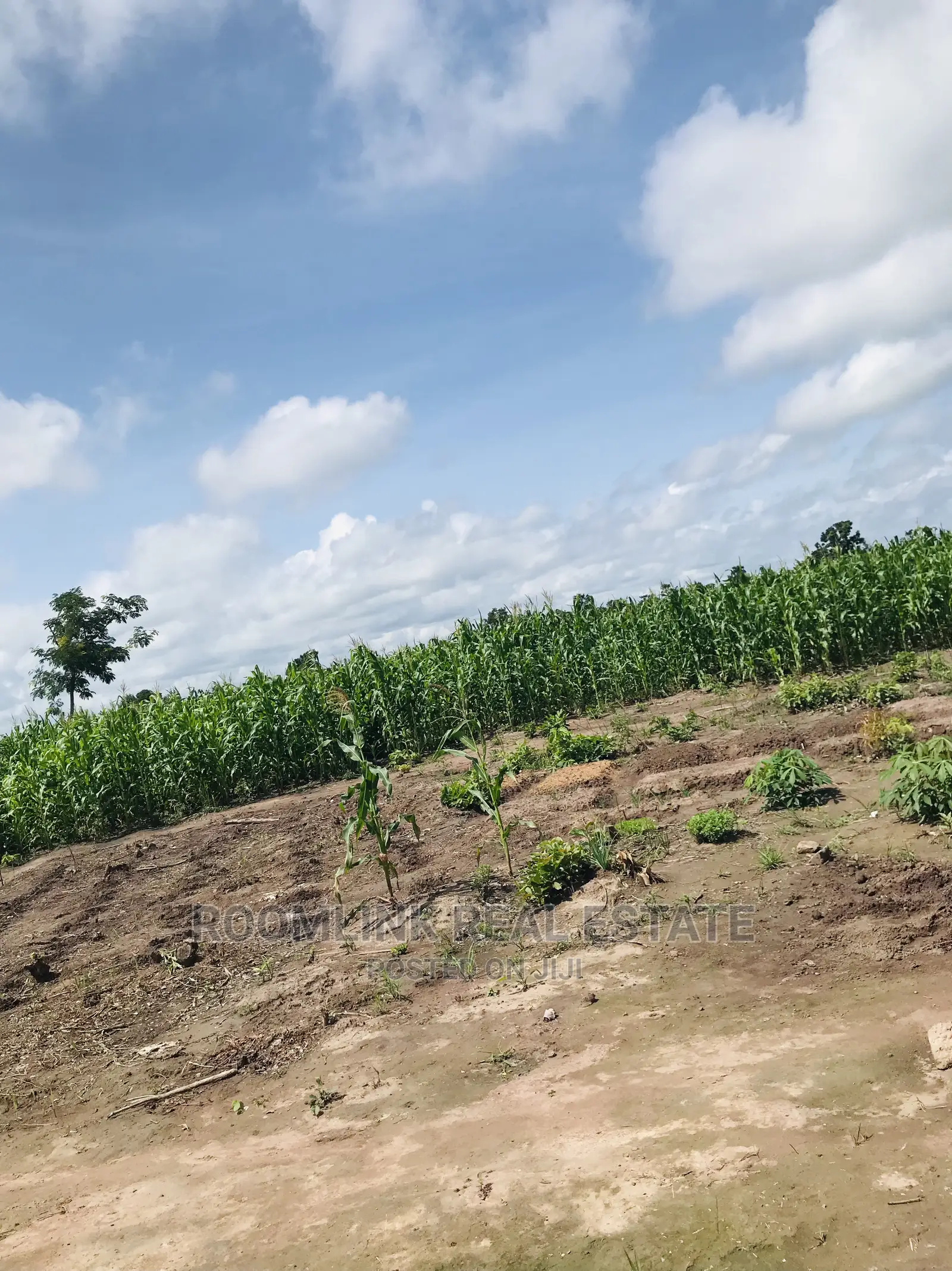Affordable Farmlands at for Sale in Kintampo