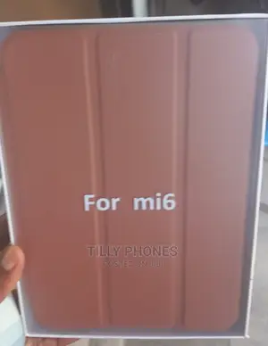 iPad Mini 6 Case