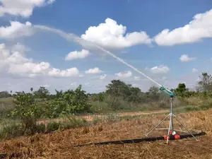 Jet 35 Long Range Rain Gun Sprinkler