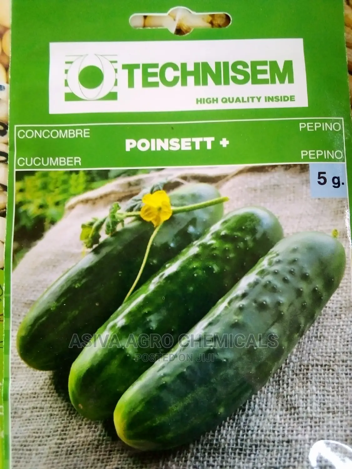 Vegetable Seeds