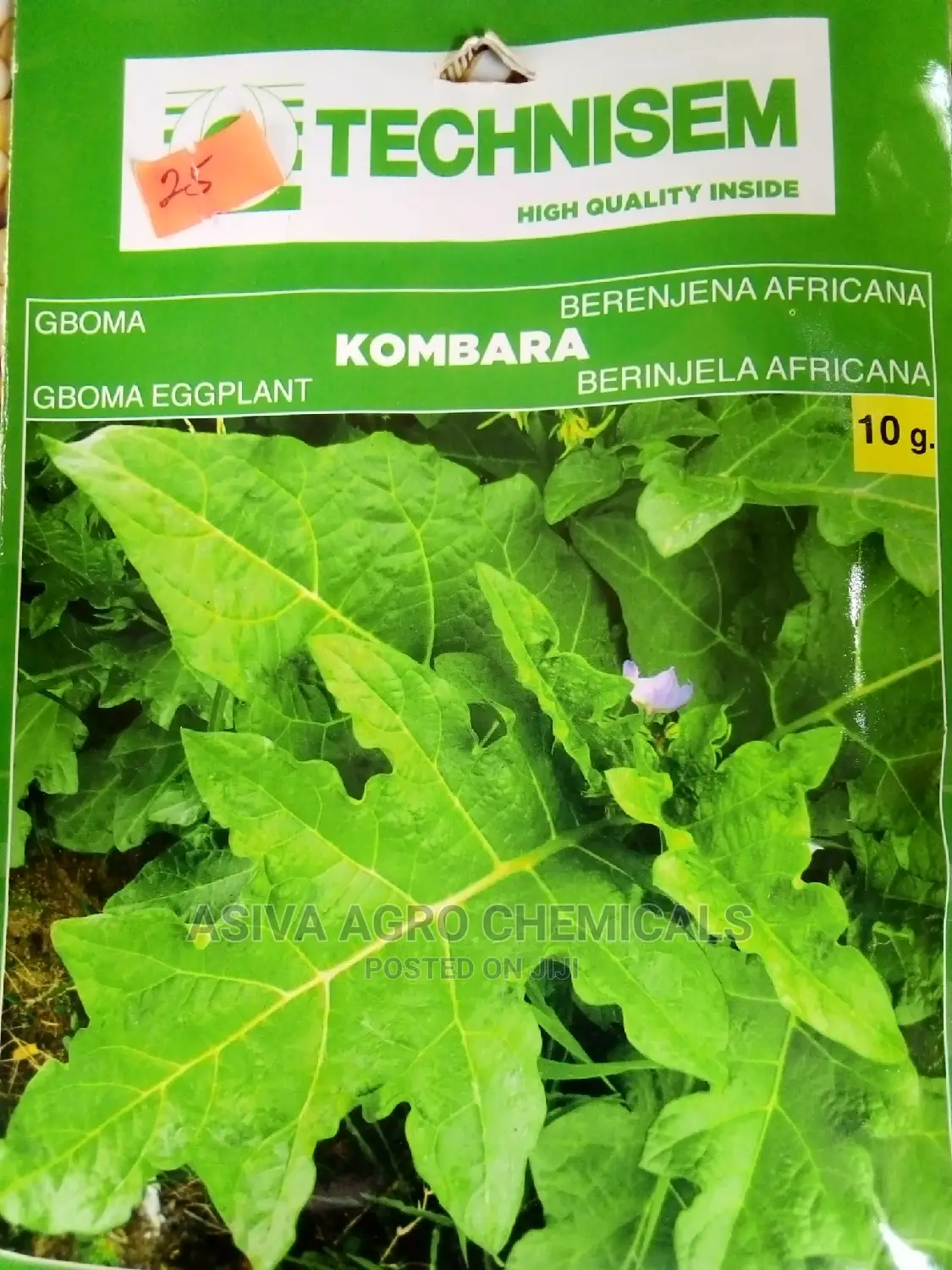 Vegetable Seeds