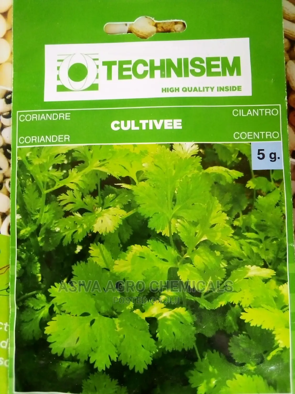 Vegetable Seeds