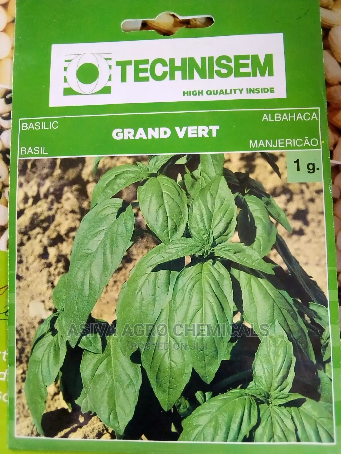 Vegetable Seeds
