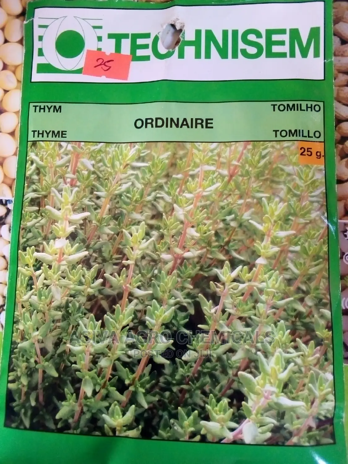 Vegetable Seeds