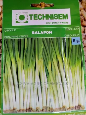 Vegetable Seeds