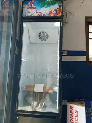 300L Display Fridge LED Display Light Lovely Display Fridge
