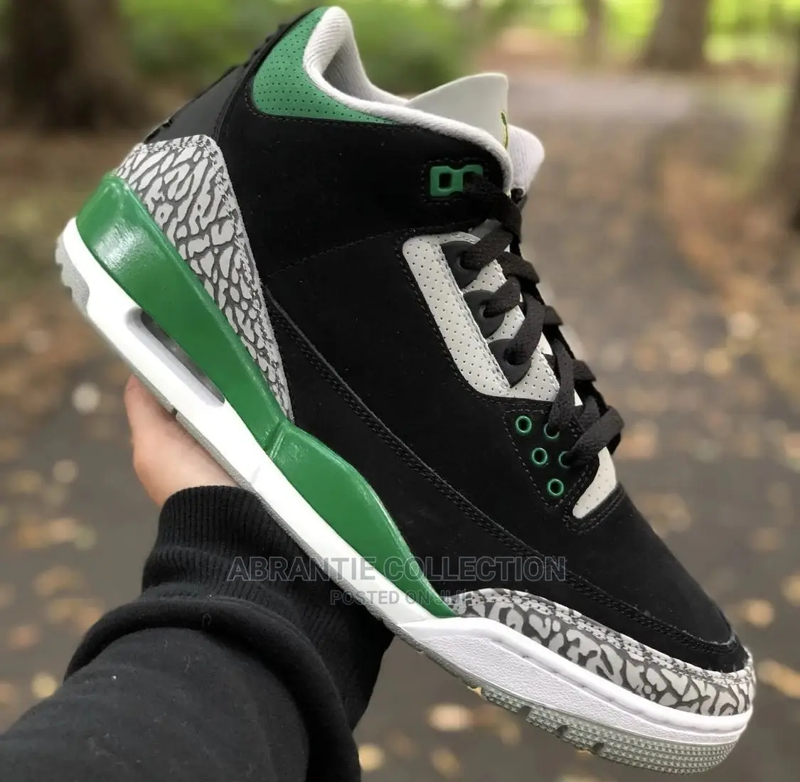 Jordan 3 Pine Green