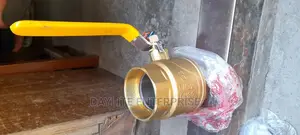 Air Valve 3"