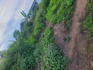 Volta Region Land for Sale
