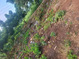 Volta Region Land for Sale