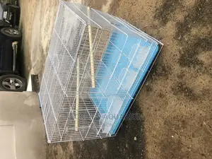 Parrot Cages N More