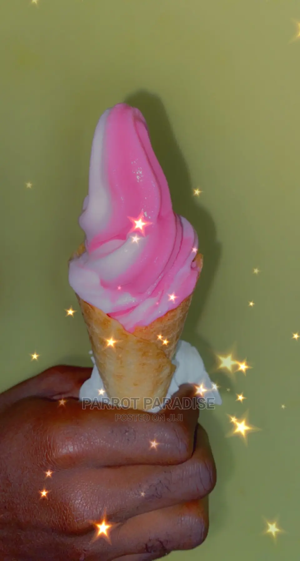 Ice Cream Machine for Rent