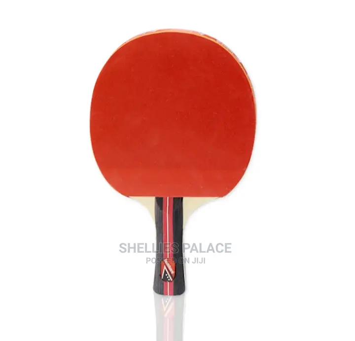 Ping Pong Paddle and Table Tennis Set
