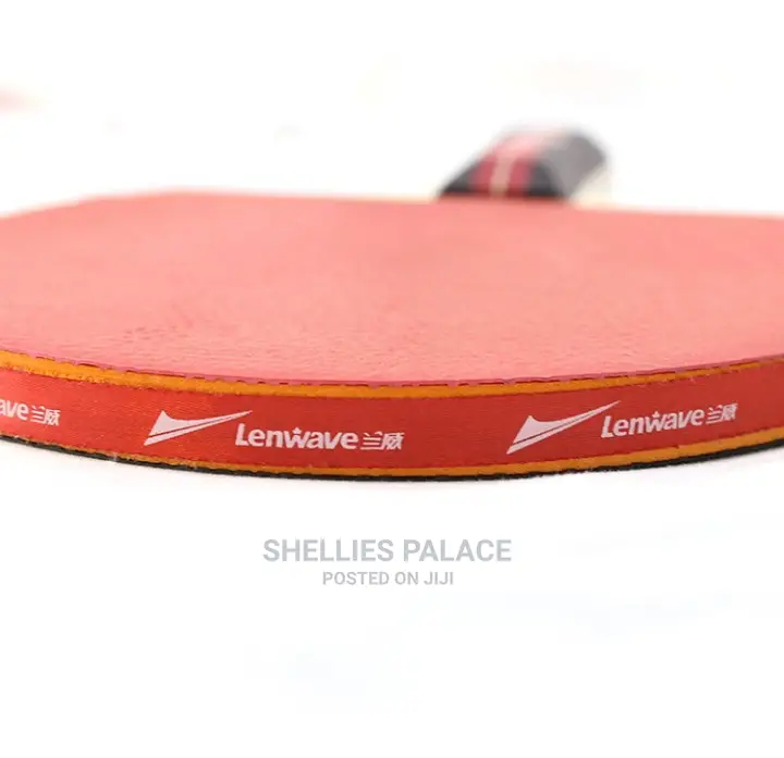 Ping Pong Paddle and Table Tennis Set