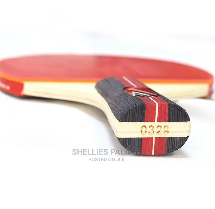Ping Pong Paddle and Table Tennis Set