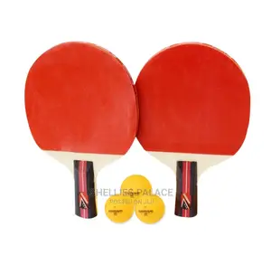 Ping Pong Paddle and Table Tennis Set