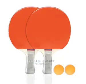 Ping Pong Paddle and Table Tennis Set