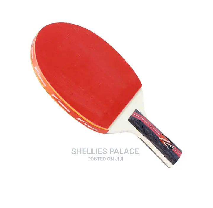 Ping Pong Paddle and Table Tennis Set